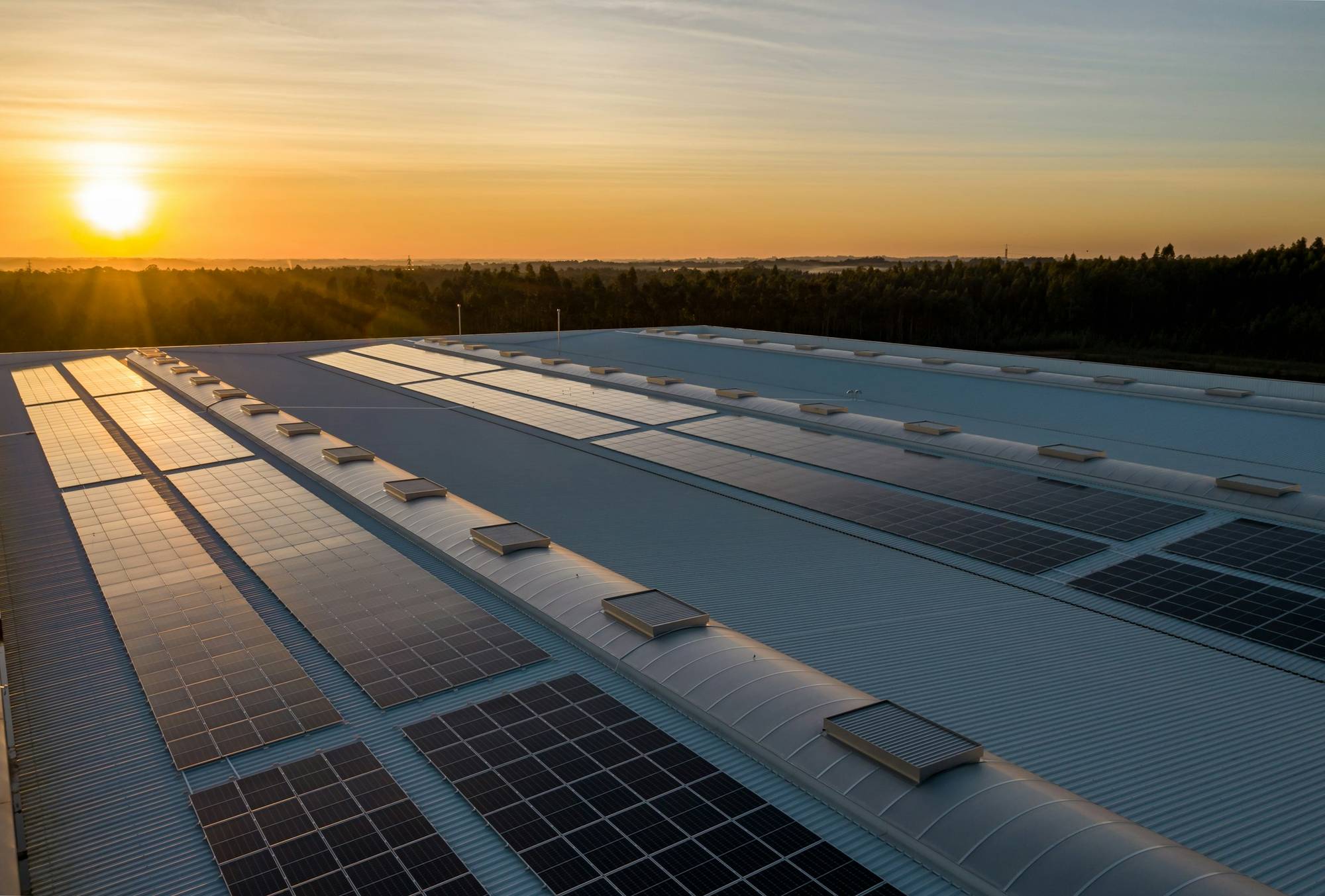 Rows of solar panels across a large commercial rooftop at sunrise.